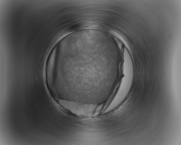 X0000088691050200706141409