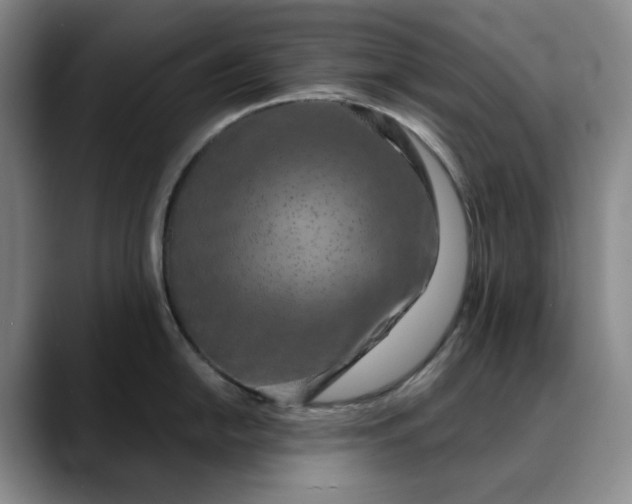 X0000088691054200706141409