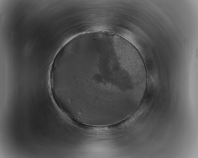 X0000088691055200706141409
