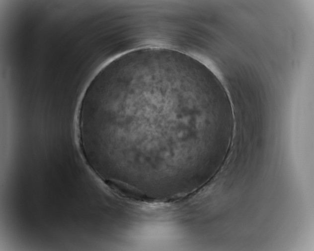 X0000088691056200706141409