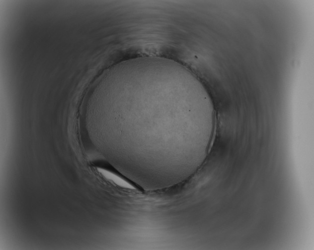 X0000088691057200706141408
