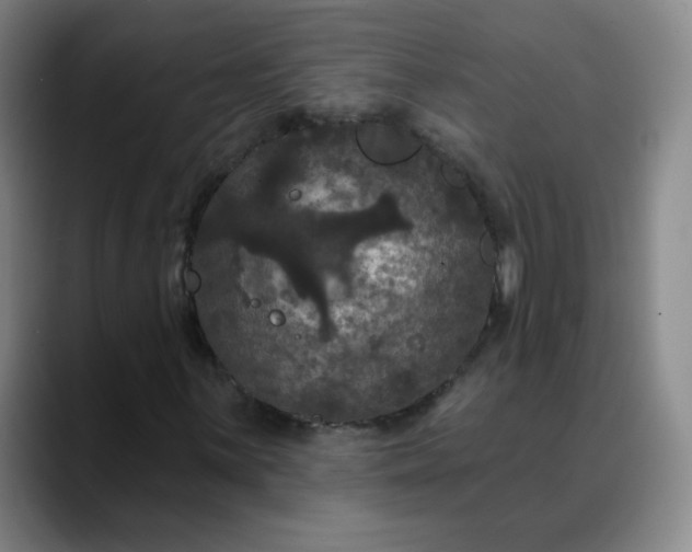 X0000088691059200706141408