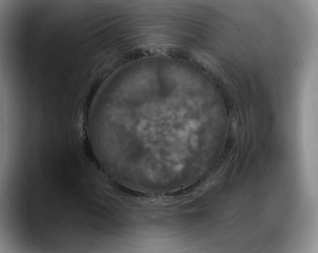 X0000088691060200706141408