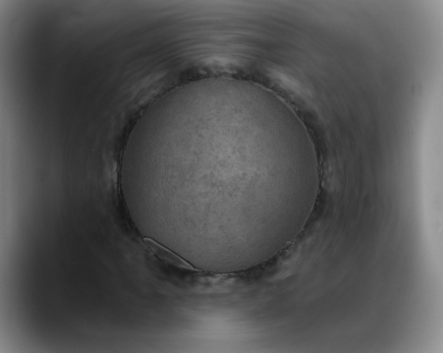 X0000088691061200706141408