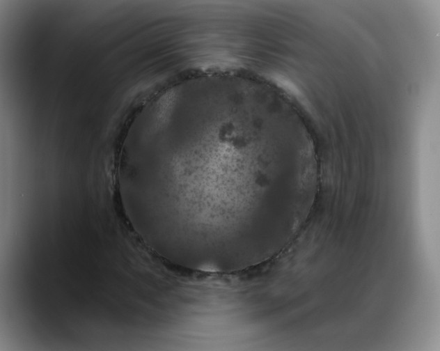 X0000088691063200706141408