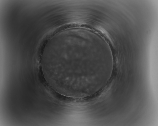 X0000088691064200706141408