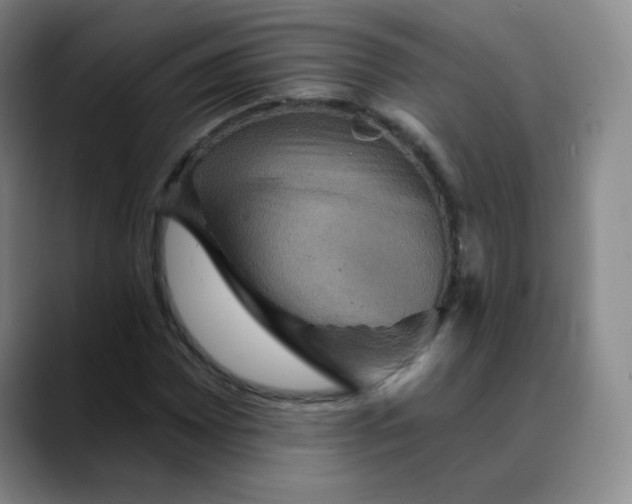 X0000088691065200706141408