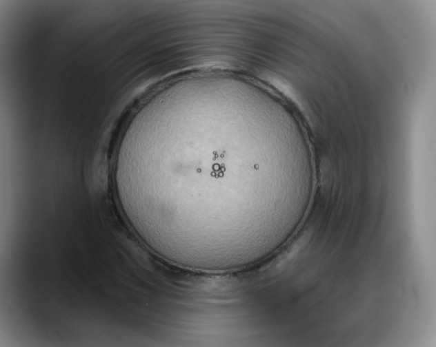 X0000088691067200706141408