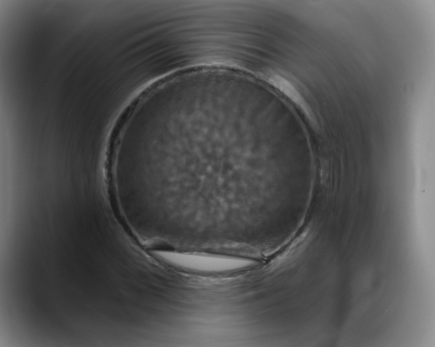 X0000088691068200706141408