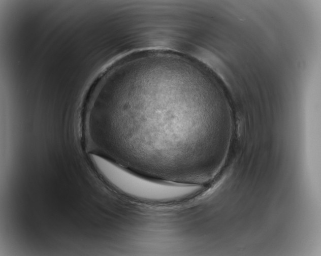 X0000088691069200706141408