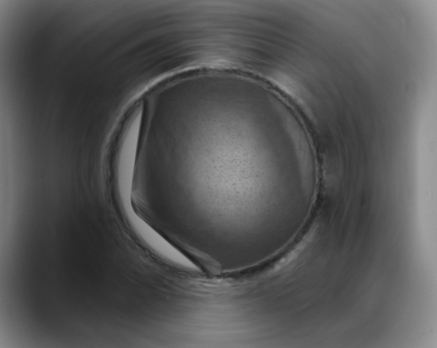X0000088691070200706141408