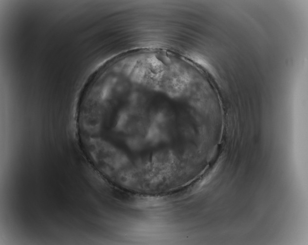 X0000088691071200706141408