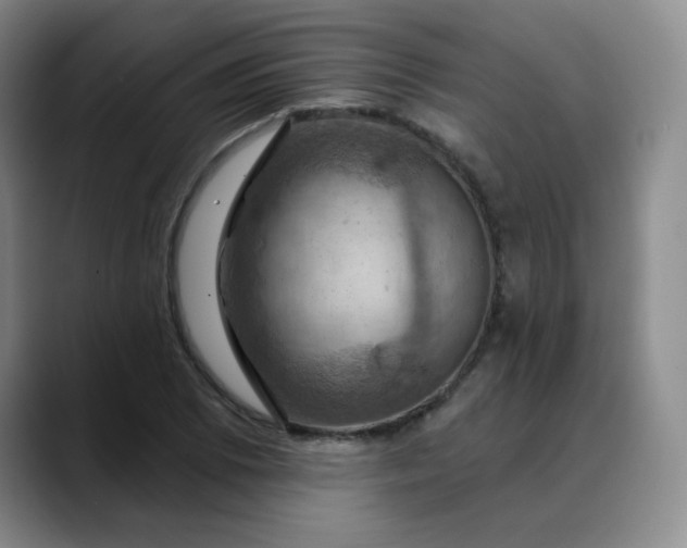 X0000088691073200706141408