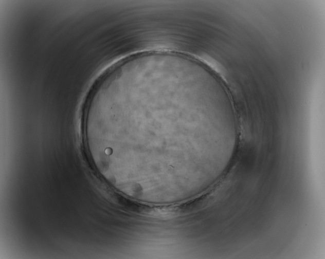 X0000088691078200706141408