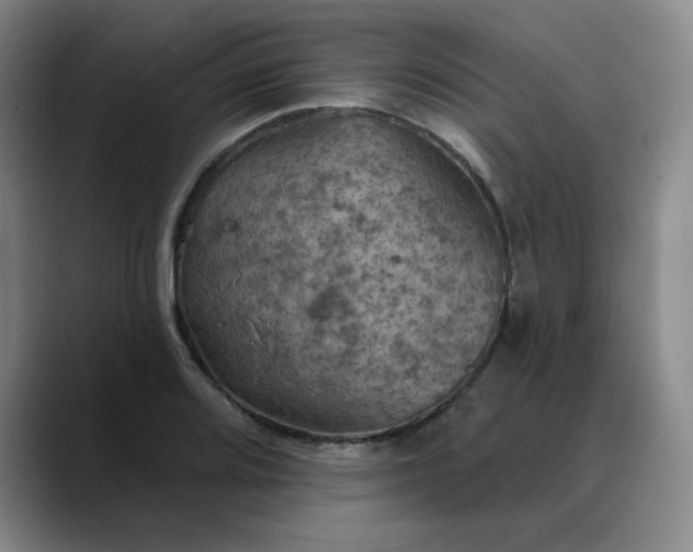 X0000088691080200706141408