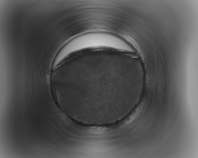 X0000088691081200706141408