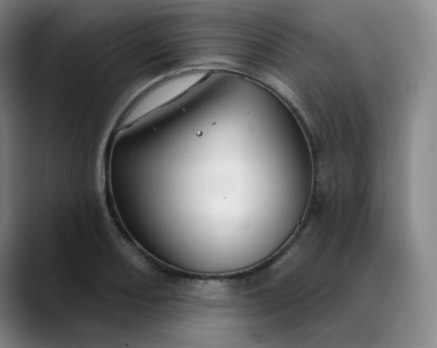 X0000088691082200706141408