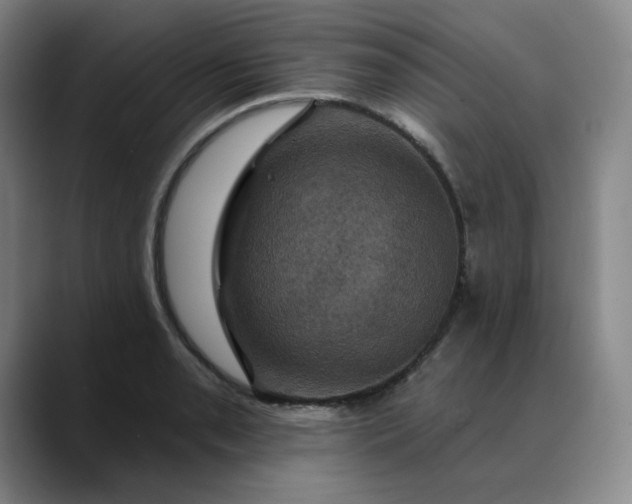 X0000088691085200706141408