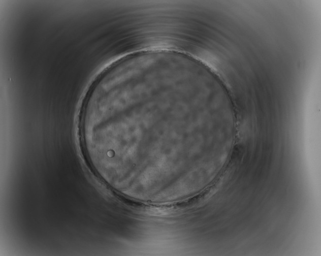 X0000088691086200706141408
