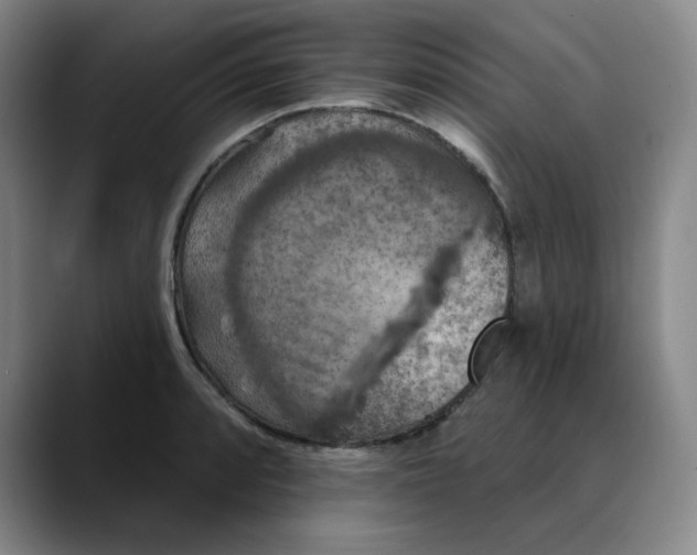 X0000088691088200706141408
