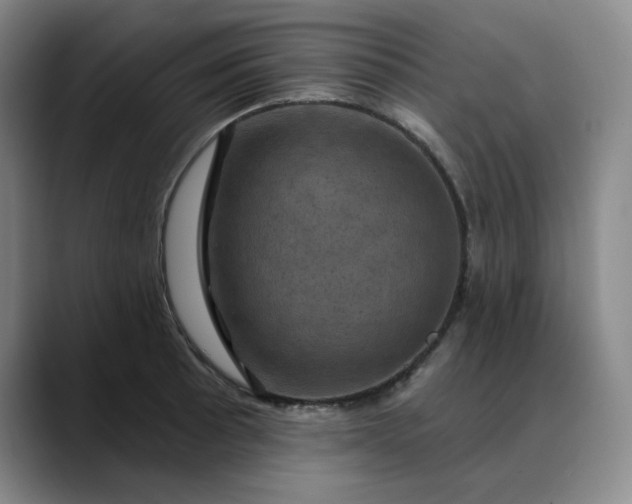 X0000088691089200706141408
