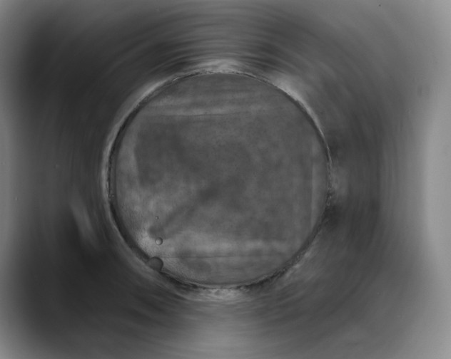 X0000088691090200706141408