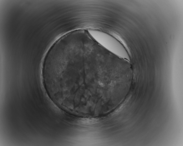 X0000088691091200706141408