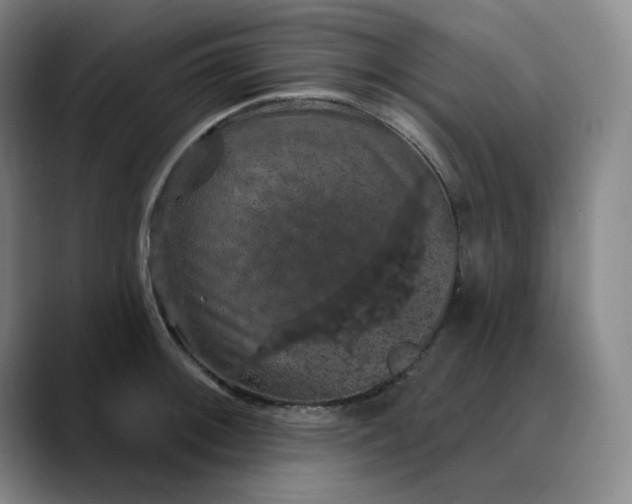 X0000088691092200706141408