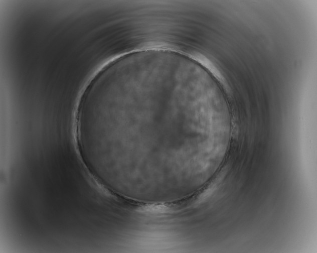 X0000088691094200706141408