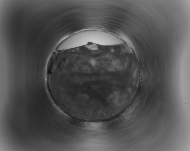 X0000088691095200706141408