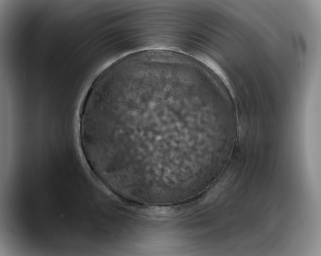 X0000088691096200706141408