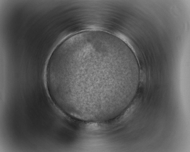 X0000088691098200706141408
