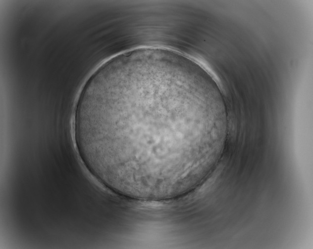 X0000088691100200706141408