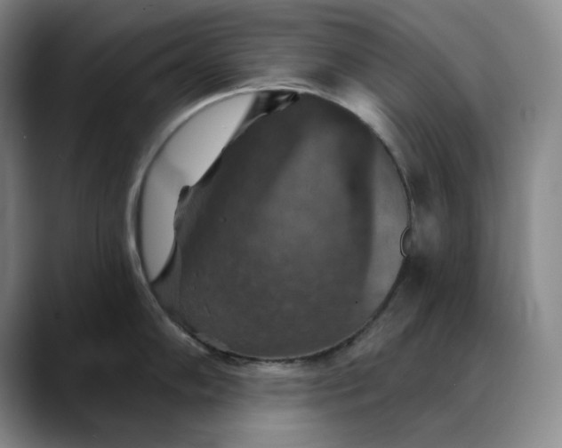X0000088691102200706141408