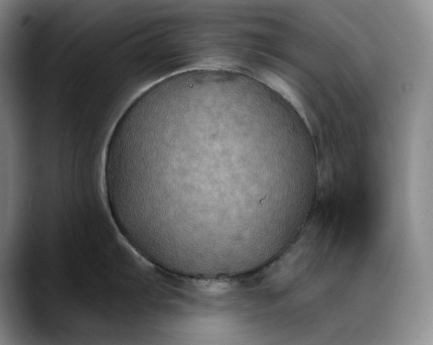 X0000088691103200706141408