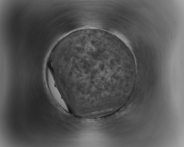 X0000088691104200706141408