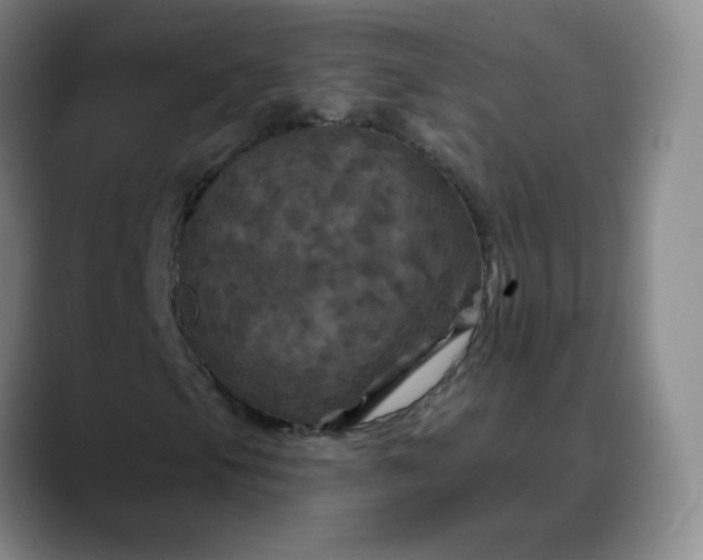 X0000088691105200706141407