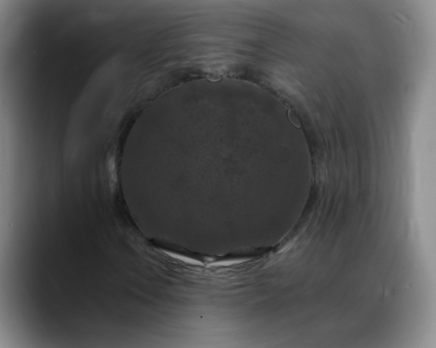 X0000088691106200706141407