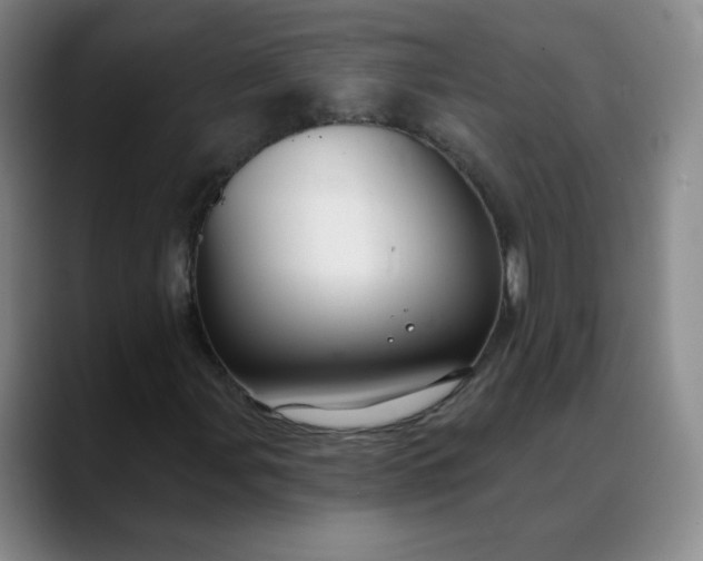 X0000088691107200706141407