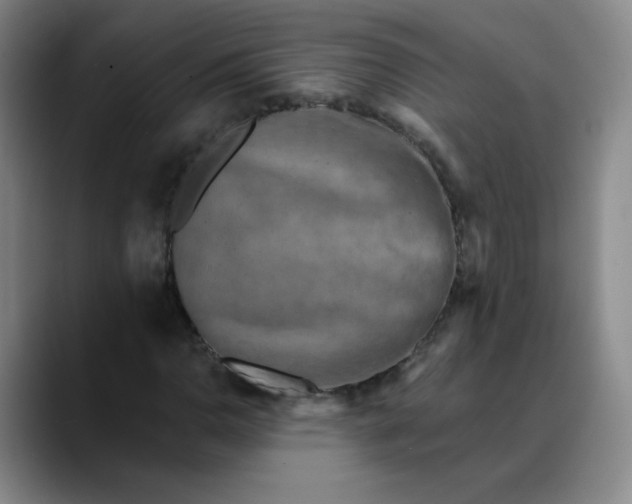 X0000088691110200706141407