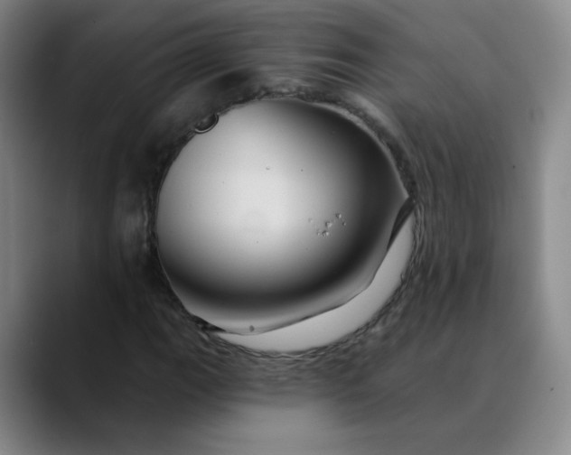 X0000088691111200706141407