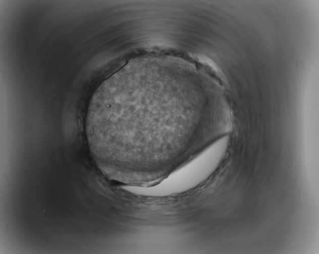 X0000088691112200706141407