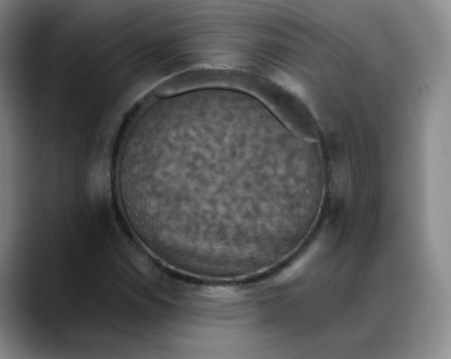 X0000088691114200706141407