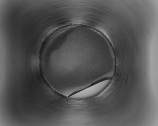 X0000088691115200706141407