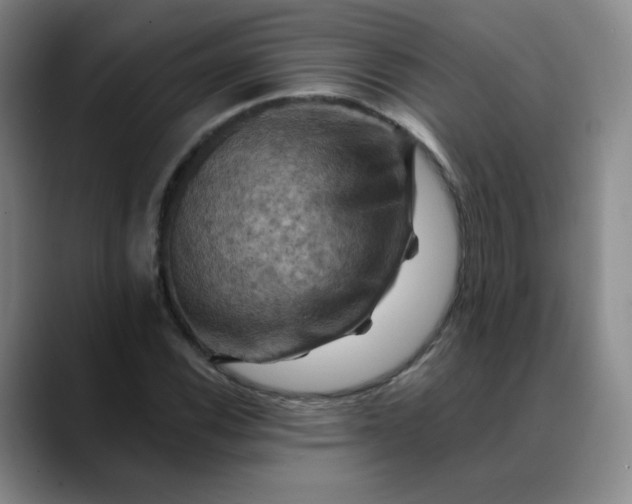 X0000088691116200706141407