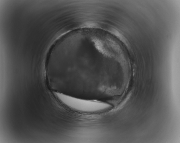 X0000088691117200706141407