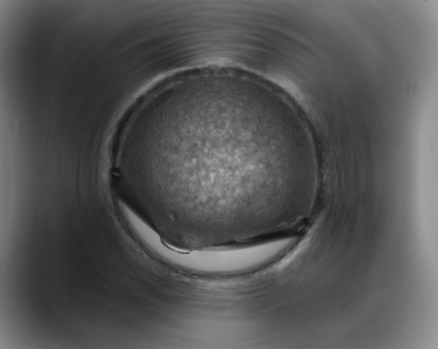X0000088691118200706141407
