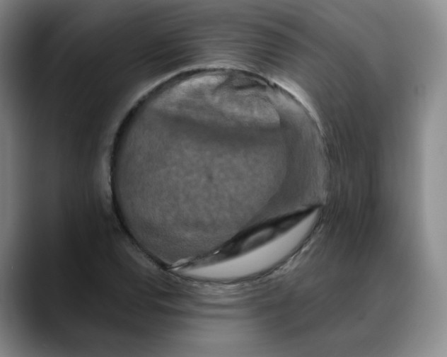 X0000088691120200706141407