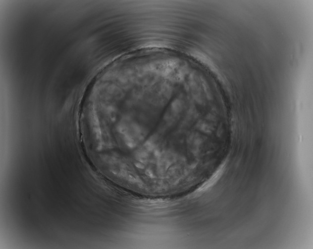 X0000088691121200706141407