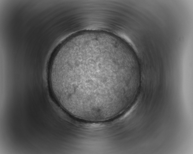 X0000088691122200706141407